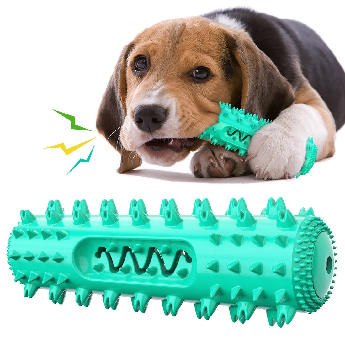 Puppy Teething 101: How to Save Your Shoes (and Your Sanity)