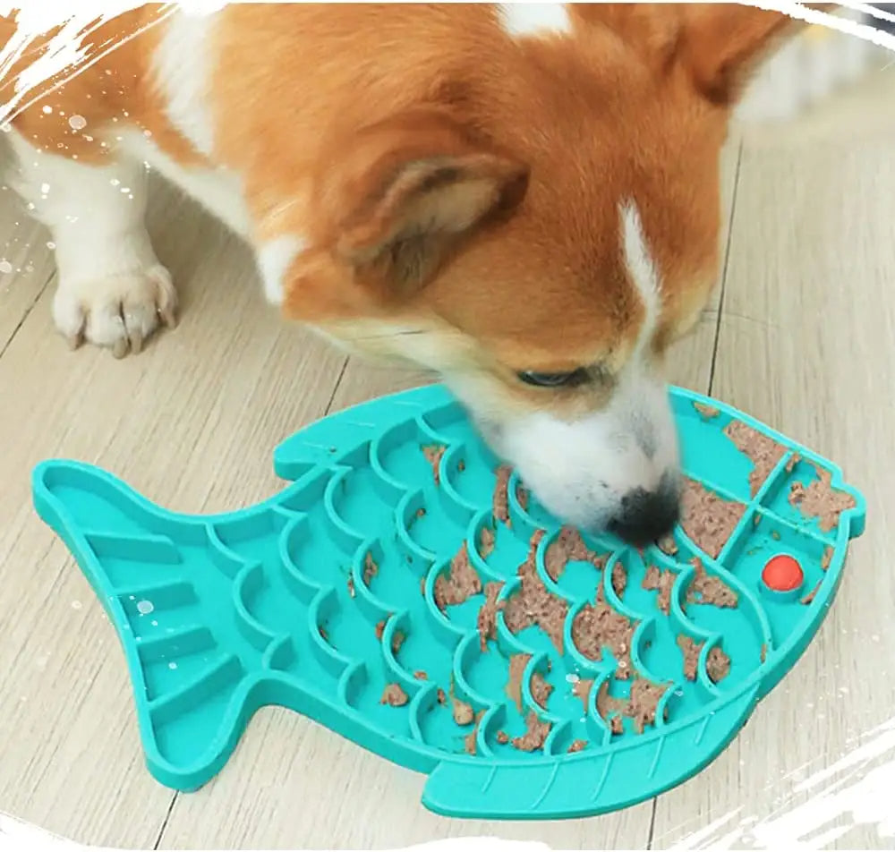 Why Your Dog Needs a Slow Feeder Bowl (And How to Pick the Right One)