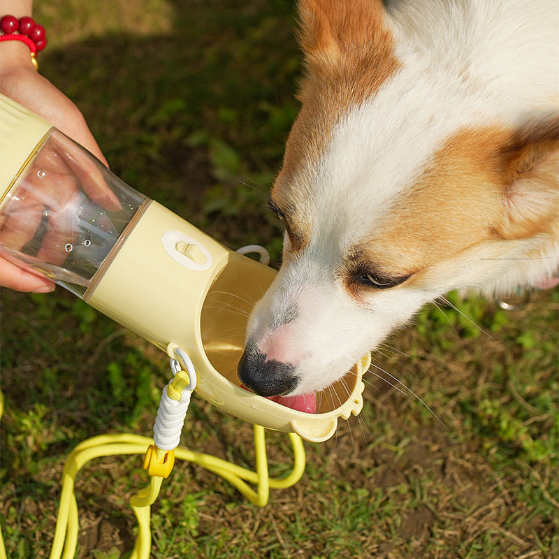 The Ultimate Gear Checklist for Hiking with Your Dog