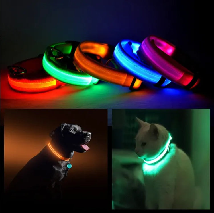 LED glow-in-the-dark safety collars for dogs and cats in multiple colors