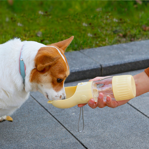 dog drinking from portable water container